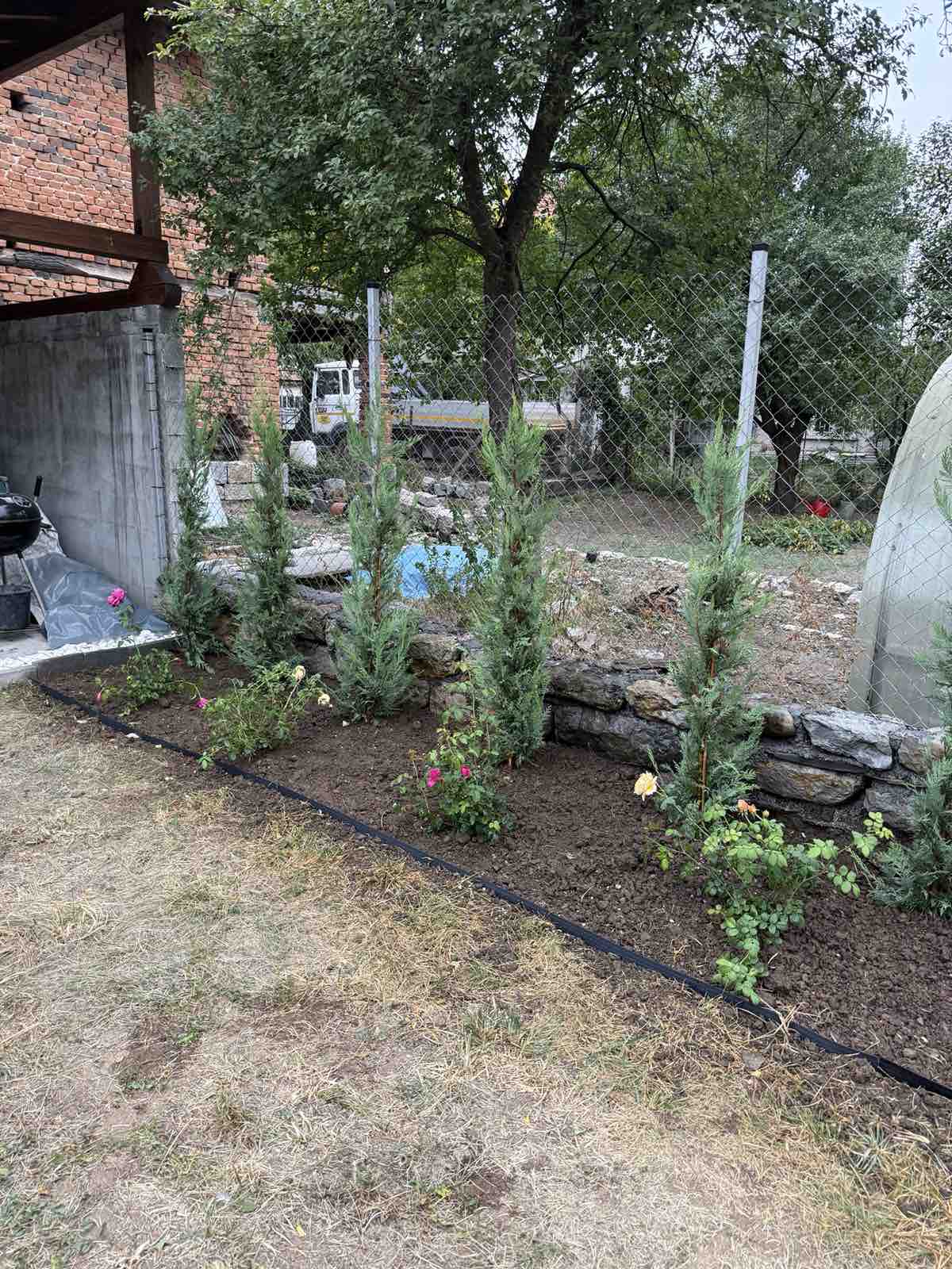 Гложене 17